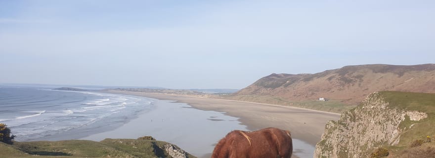 Au départ de Cardiff : Visite de Mumbles et de la péninsule de Gower