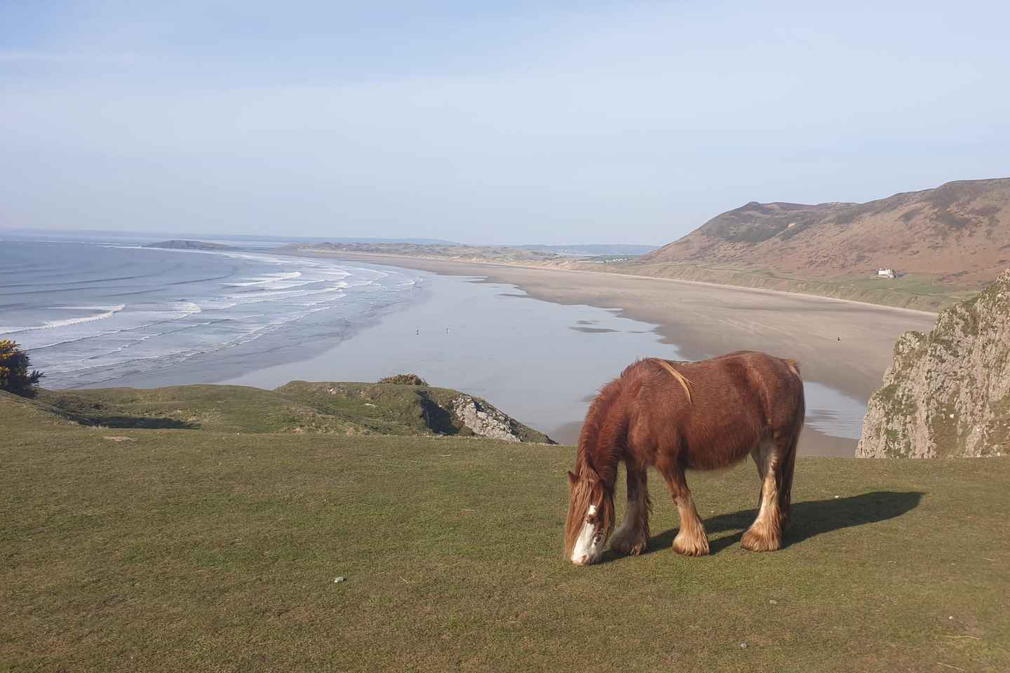 Из Кардиффа: тур по Мамблзу и полуострову Гоуэр