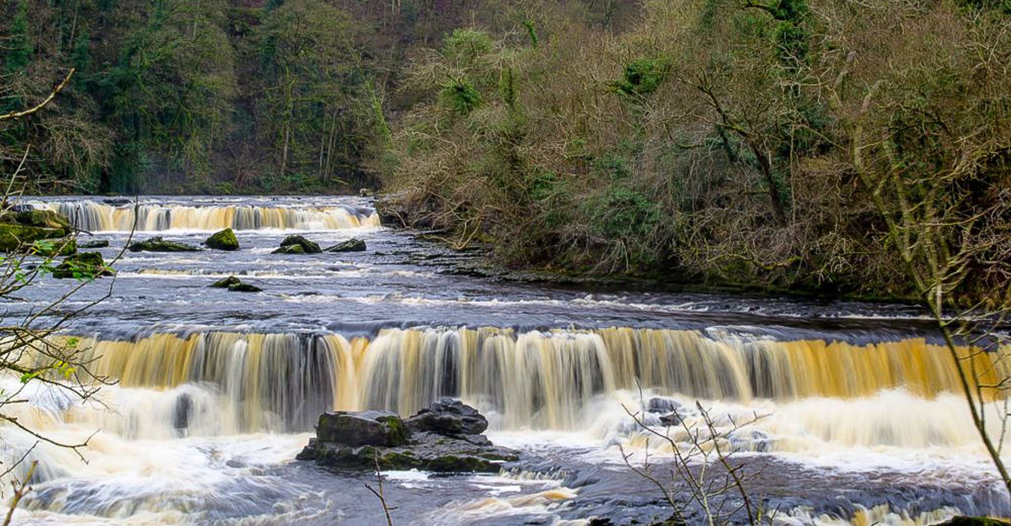 The Yorkshire Dales Tour from York - Housity