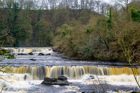 Recorrido por los valles de Yorkshire desde YorkTour de los Yorkshire Dales desde York