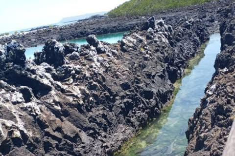 Santa Cruz: 4-Day Snorkel, Tintoreras, Pinzón & Fishing