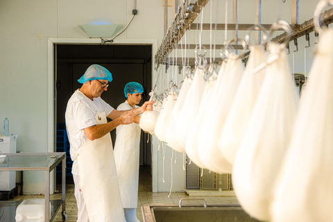 Menorca : Guided visit to the Subaida cheese factory,