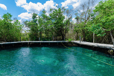 Ab Riviera Maya: Holbox Ganztagestour mit Mittagessen