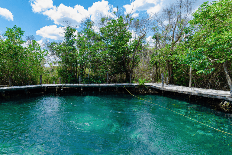 Ab Riviera Maya: Holbox Ganztagestour mit Mittagessen