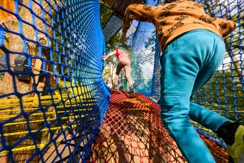 Windermere: Treetop bouncy nets (Treetop Nets)