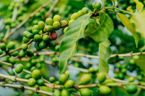 Bike tour and senic view