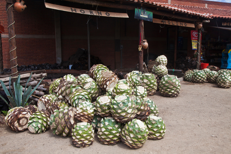 Hierve el agua: A Day of Adventure, Culture, and Flavor