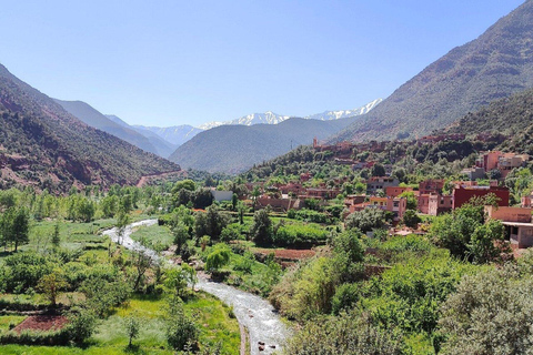 Z Marrakeszu: Jednodniowa wycieczka do doliny Ourika i siedmiu wodospadówMarrakesz: Dolina Ourika, góry Atlas i wodospady