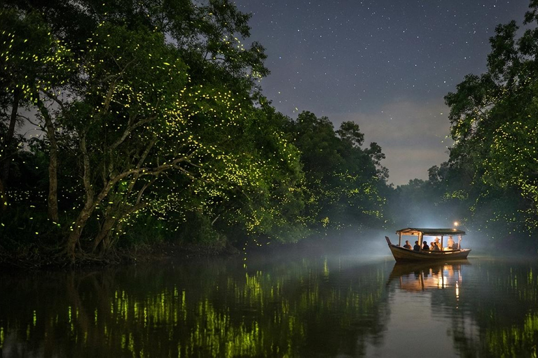 Kuala Selangor Eagle , Fireflies & Blue Tears Boat Tour