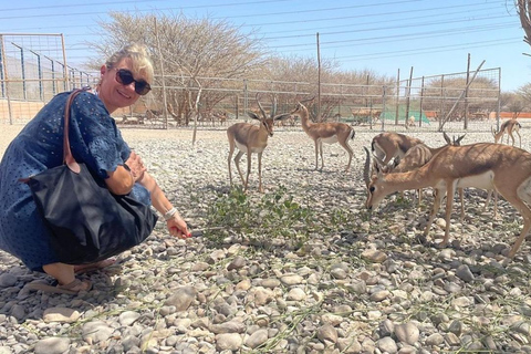 3-Day Oman Adventure: Wadis, Desert Camping & Meals by Guide