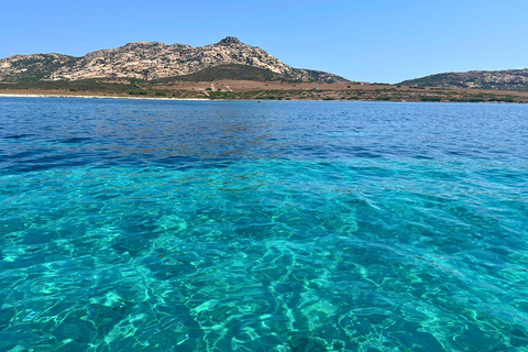 From Stintino: Asinara Sailboat Tour with Lunch Sailboat Tour and Lunch with 11 Seats