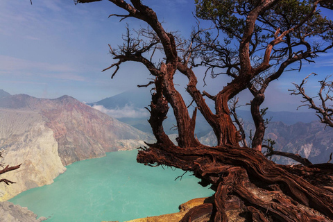 From Bali: Ijen Sunrise Tour & Breakfast at Local Restaurant