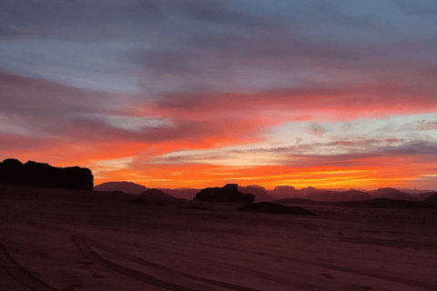 Wadi Rum: Bedouin Camp, Fire Dinner & Desert Experience