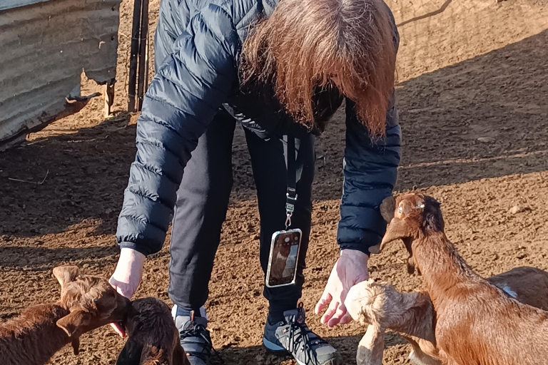 Thessaloniki: Besuch eines Bauernhofs und eines traditionellen DorfesBesuch einer Ziegen- und Schaffarm