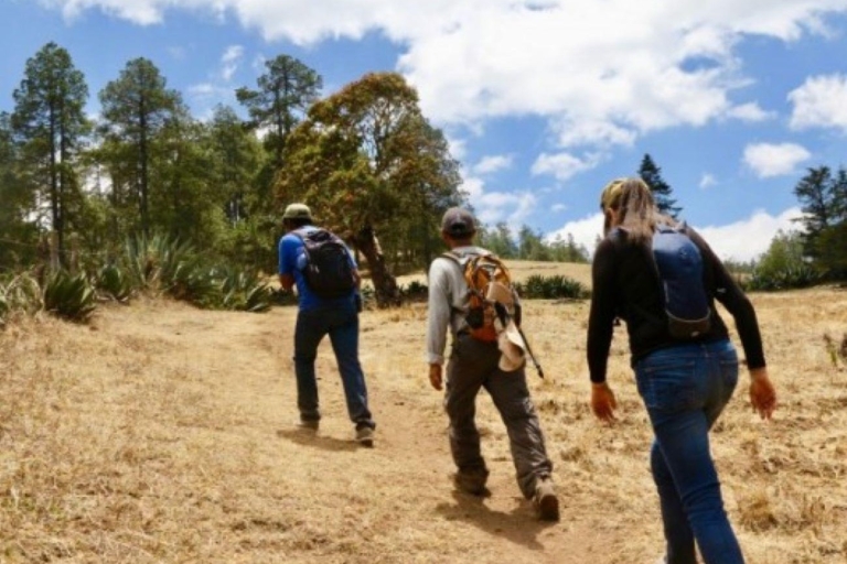 Oaxaca: Wycieczka piesza do Pueblos Mancomunados