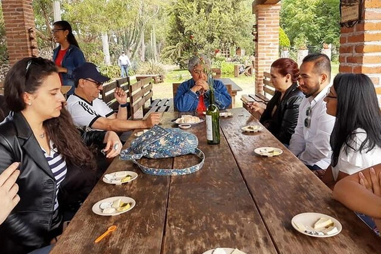 Mexico : visite privée de Querétaro avec dégustation de fromages et de vinsMexico : visite privée avec dégustation de fromages et de vins à Querétaro