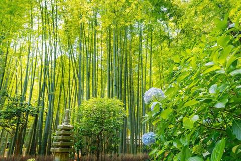Sacred Kamakura & Yokohama Full-Day Tour with English Guide Kamakura & Yokohama Private Tour With Toyota Welfare Alphad