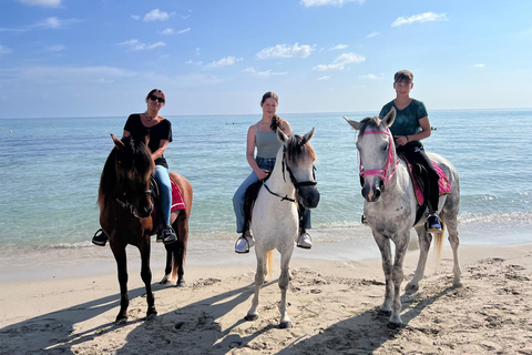 Djerba : Leçon d&#039;équitation pour adultes et enfants.