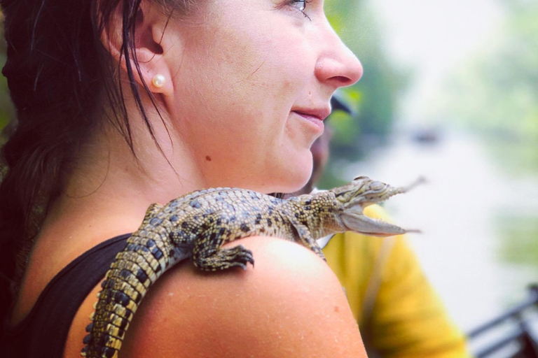 Galle Day Guided Tour-River Safari From Bentota