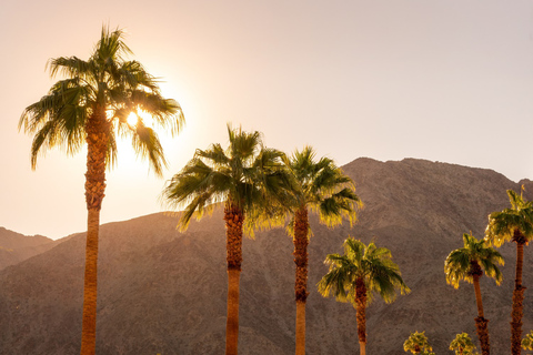 Palm Springs Day Trip Guide - Visit Palm Springs