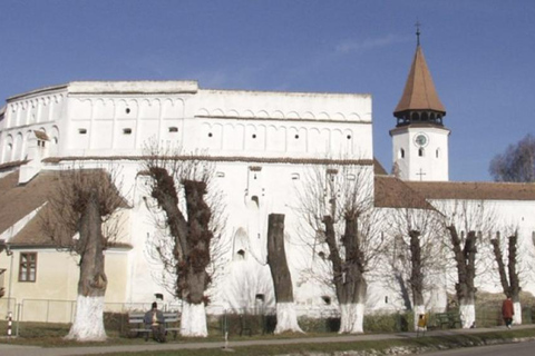 Brasov : Hărman, Prejmer et Feldioara, visite d'une demi-journéeBrasov : visite d'une demi-journée à Hărman, Prejmer et Feldioara