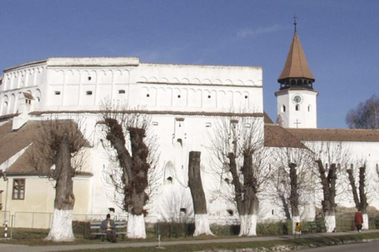 Brasov : Hărman, Prejmer et Feldioara, visite d'une demi-journéeBrasov : visite d'une demi-journée à Hărman, Prejmer et Feldioara