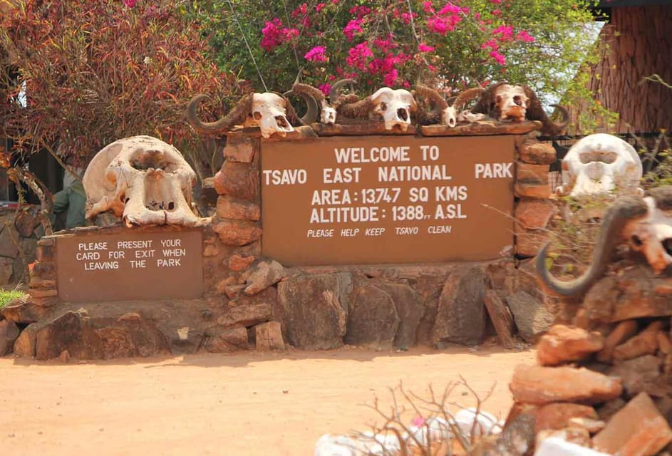 Safari de 3 días por los Parques Nacionales de Tsavo Este y Oeste ...