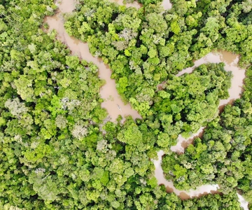 Amazonas Extreme