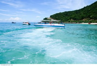 From Da Nang/ Hoi An, Cham Island Snorkeling Private Tour - Housity