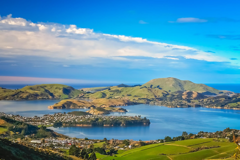 From Port Chalmers: Castle, Coast & City Tour From Port Chalmers: Dunedin City Tour with Larnach Castle