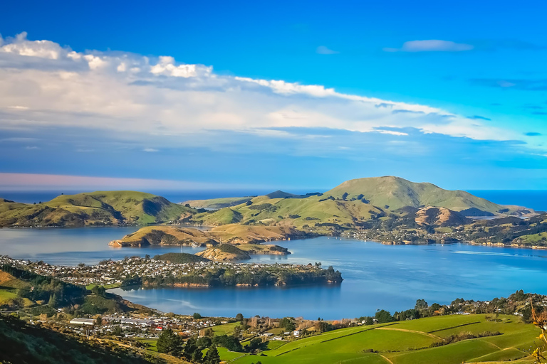 From Port Chalmers: Castle, Coast & City Tour From Port Chalmers: Dunedin City Tour with Larnach Castle