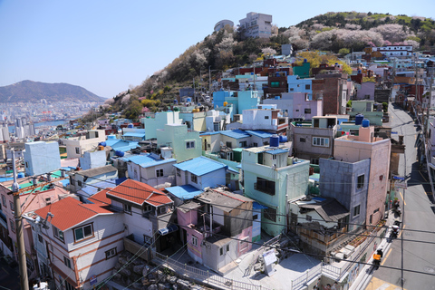 Busan Untold: War History, Hillside Villages & Songdo Cable Shared Group Tour, Depart from Busan Subway Station Exit 3