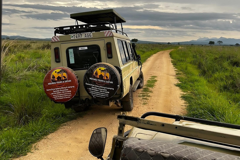 Arusha: 4-Day Group Safari