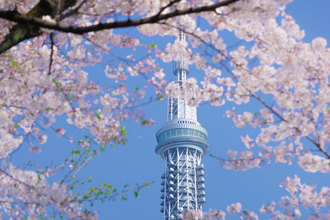 Visite privée de Tokyo en voiture avec prise en charge