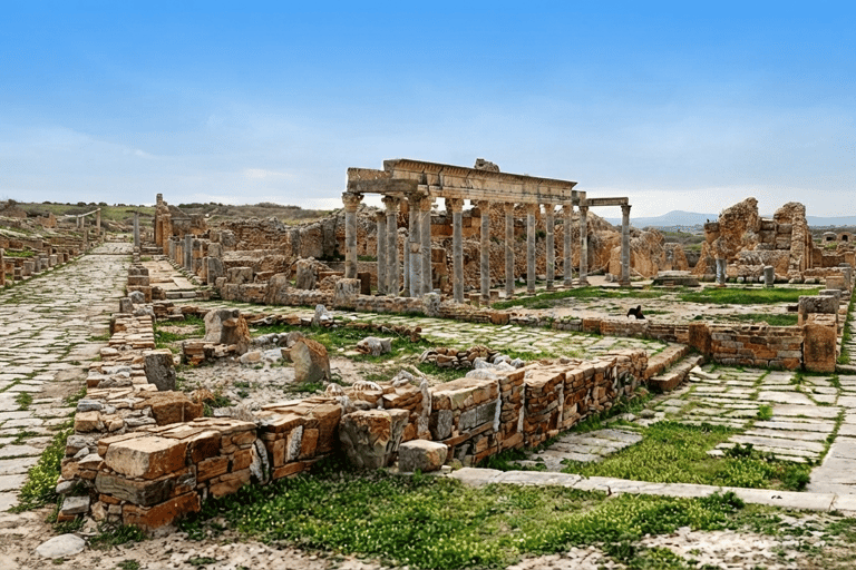 From Hammamet or Nabeul: Half-Day Tour to Sidi Bou Said, Carthage, Medina