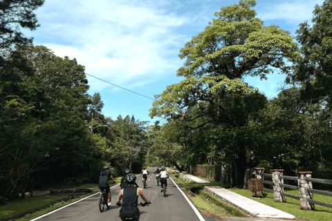 Elektrofahrräder mieten in El Valle de AntonElektrofahrräder mieten in El Valle de Anton - Ganzer Tag