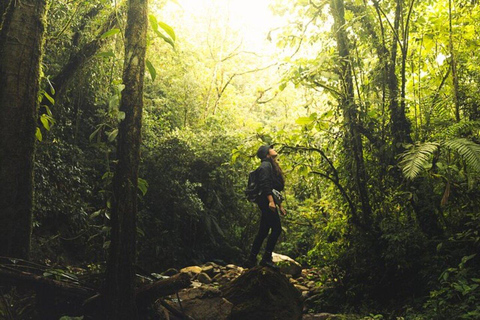 Medellín: Excursión a la Cascada Secreta con Merienda y Café