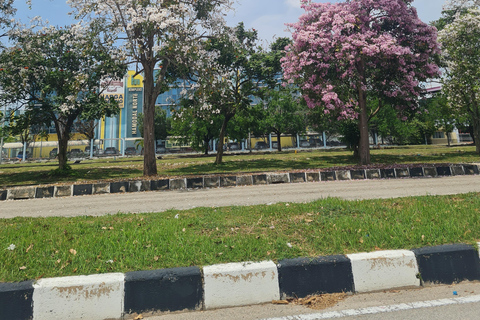 Penang: Cameron Highlands Private Tour with Tea Plantation