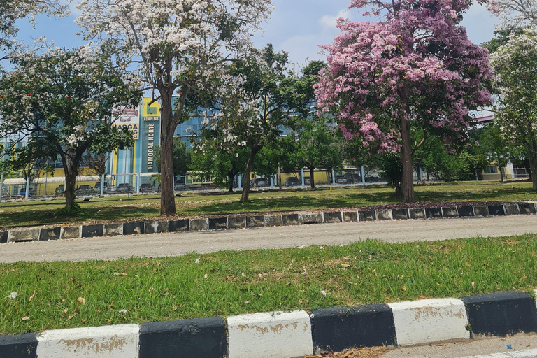 Penang: Cameron Highlands Private Tour with Tea Plantation