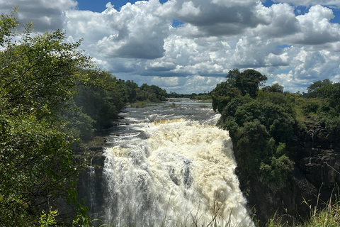 Victoria Falls: Guided Tour with Big Tree & Market Visit