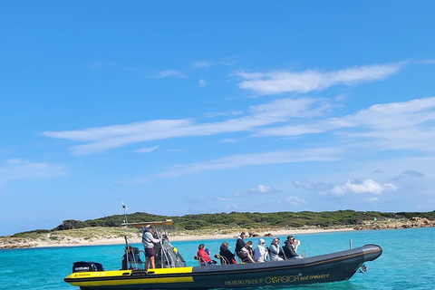 Santa-Giulia: Half-day trip, Lavezzi Islands and Bonifacio cliffs Santa-Giulia: Half-day trip to the sea, Lavezzi Islands and Bonifacio cliffs