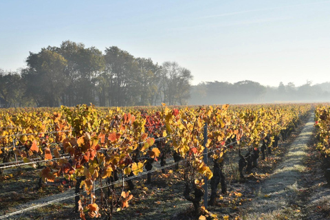Educational hike in the Anjou vineyards Wine Hike