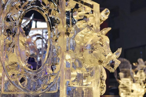 Sapporo: Heiwa-dori Ice Festival Private Day Tour No return to Sapporo