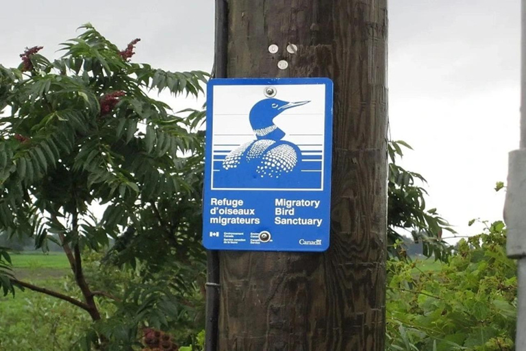 Vancouver family day trip to Migratory Bird Sanctuary