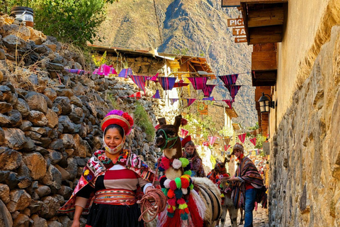 Llama Walk in the Inca Village of Ollantaytambo