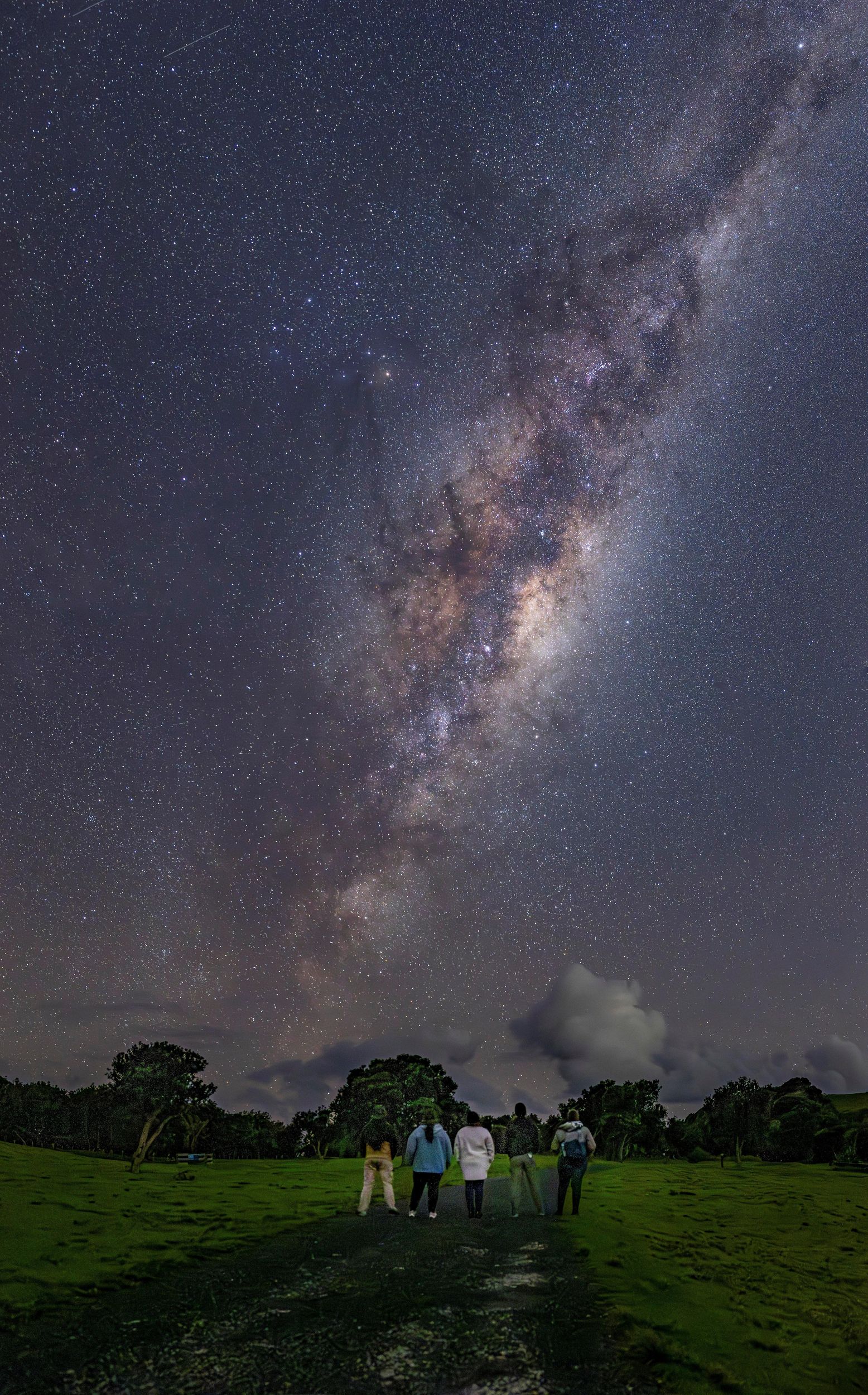 Auckland: Tour mit Sternenbeobachtung, Meteorschauern und kosmischen Ereignissen