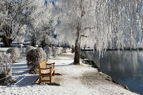 Vienna: Daytrip Zell am See/Kaprun