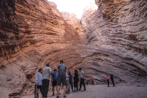 Cafayate: Tour de dia completo por bodegas y degustacion de vinos