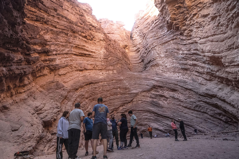 Cafayate: Tour de dia completo por bodegas y degustacion de vinos