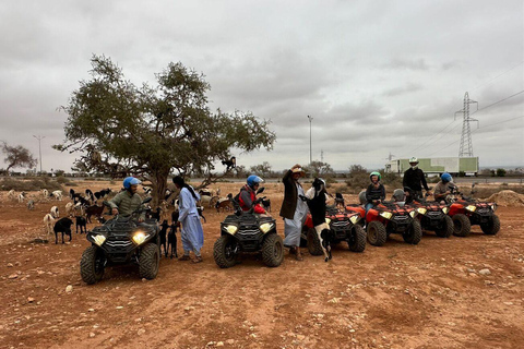 Quad et chèvres sur l&#039;arganier et thé avec Nomade